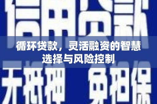 岫岩循环贷款，灵活融资的智慧选择与风险控制