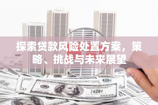 阳曲探索贷款风险处置方案，策略、挑战与未来展望