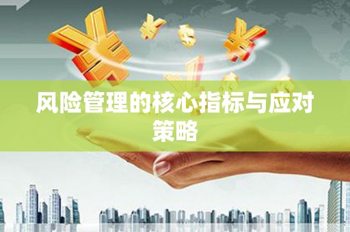 南溪风险管理的核心指标与应对策略