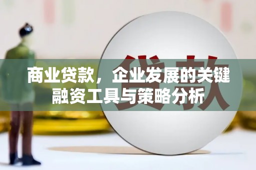 丰宁商业贷款，企业发展的关键融资工具与策略分析