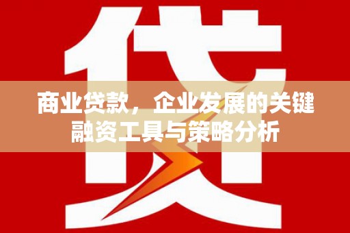 高埗商业贷款，企业发展的关键融资工具与策略分析