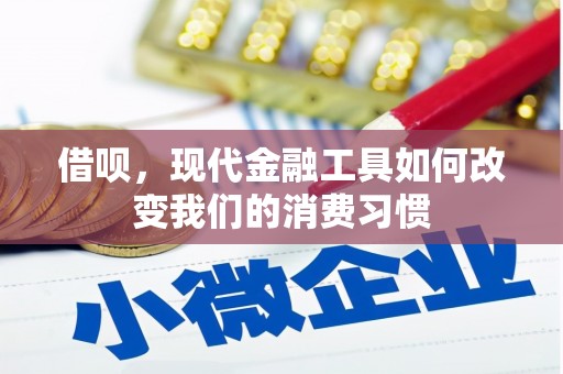 邵东借呗，现代金融工具如何改变我们的消费习惯
