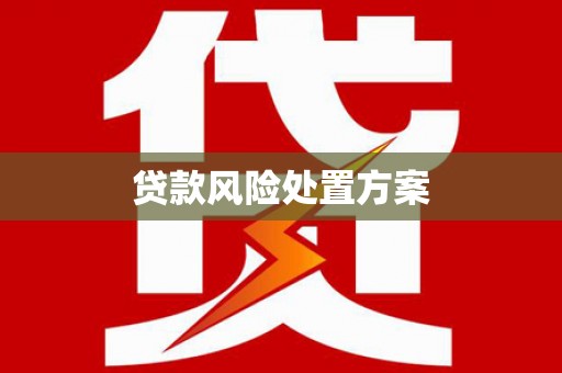 关西贷款风险处置方案