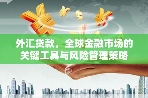 宁化外汇贷款，全球金融市场的关键工具与风险管理策略