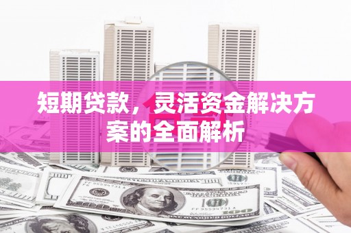 双溪短期贷款，灵活资金解决方案的全面解析