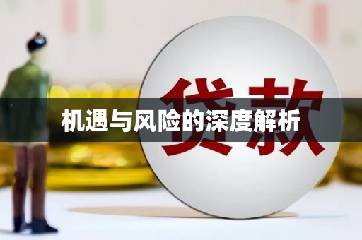 甘南机遇与风险的深度解析