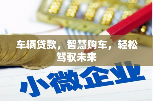 贵德车辆贷款，智慧购车，轻松驾驭未来