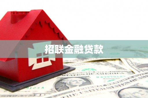 白山招联金融贷款