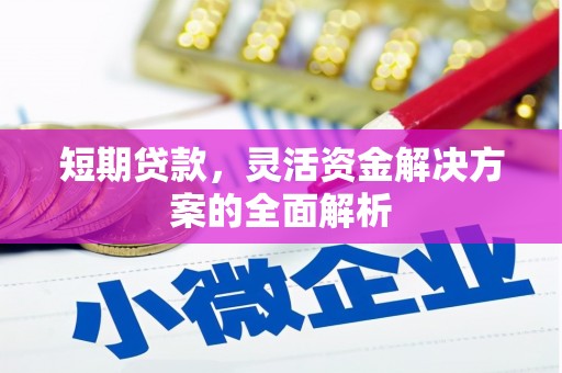 昆都仑短期贷款，灵活资金解决方案的全面解析