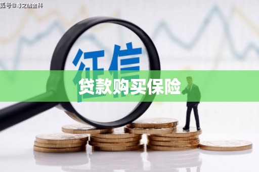 华容贷款购买保险