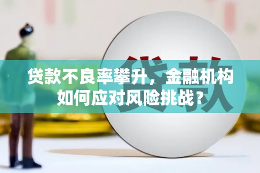 泗县贷款不良率攀升，金融机构如何应对风险挑战？