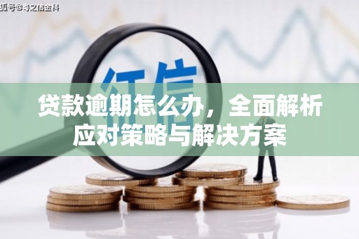 鹿港贷款逾期怎么办，全面解析应对策略与解决方案
