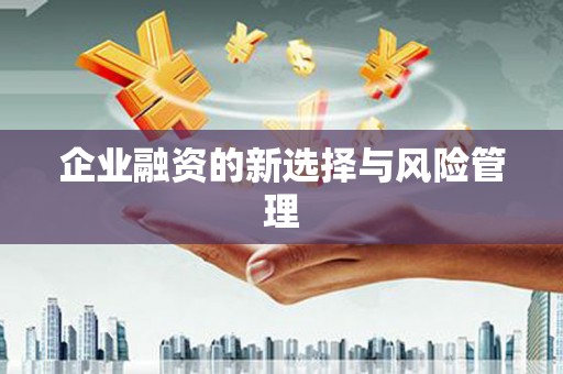 察雅企业融资的新选择与风险管理