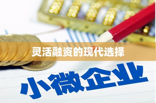 葫芦岛灵活融资的现代选择
