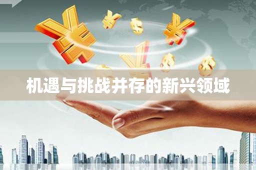 头份机遇与挑战并存的新兴领域