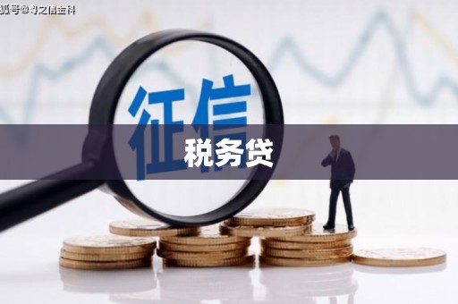 剑河税务贷