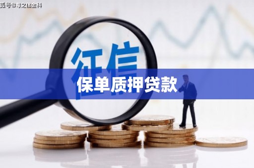 三都保单质押贷款