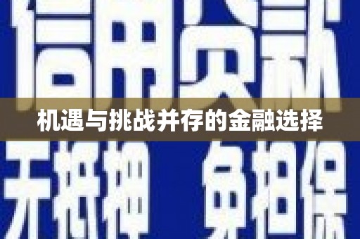边坝机遇与挑战并存的金融选择