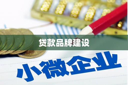 正阳贷款品牌建设