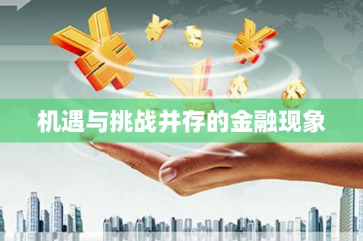 济宁机遇与挑战并存的金融现象