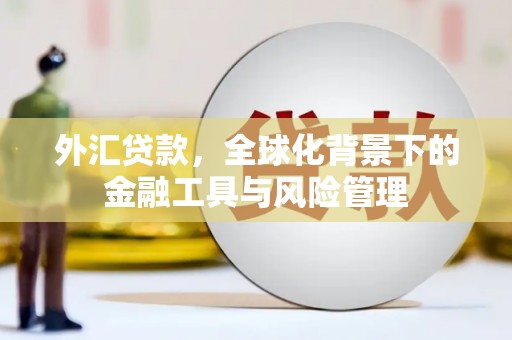 永新外汇贷款，全球化背景下的金融工具与风险管理