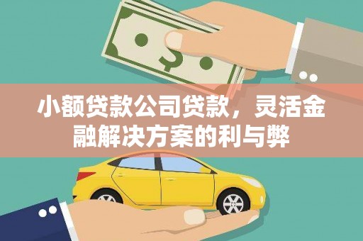 昭苏小额贷款公司贷款，灵活金融解决方案的利与弊